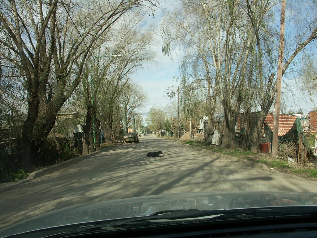 090801_Argentina 059.jpg